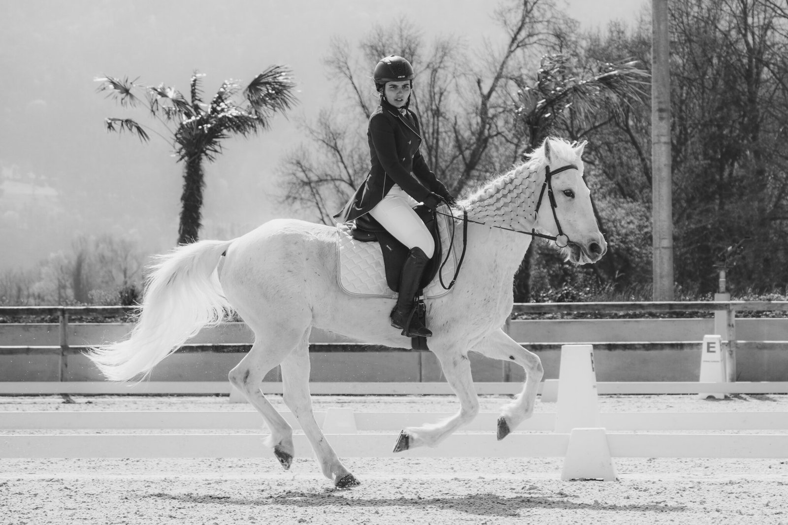 Concours Dressage