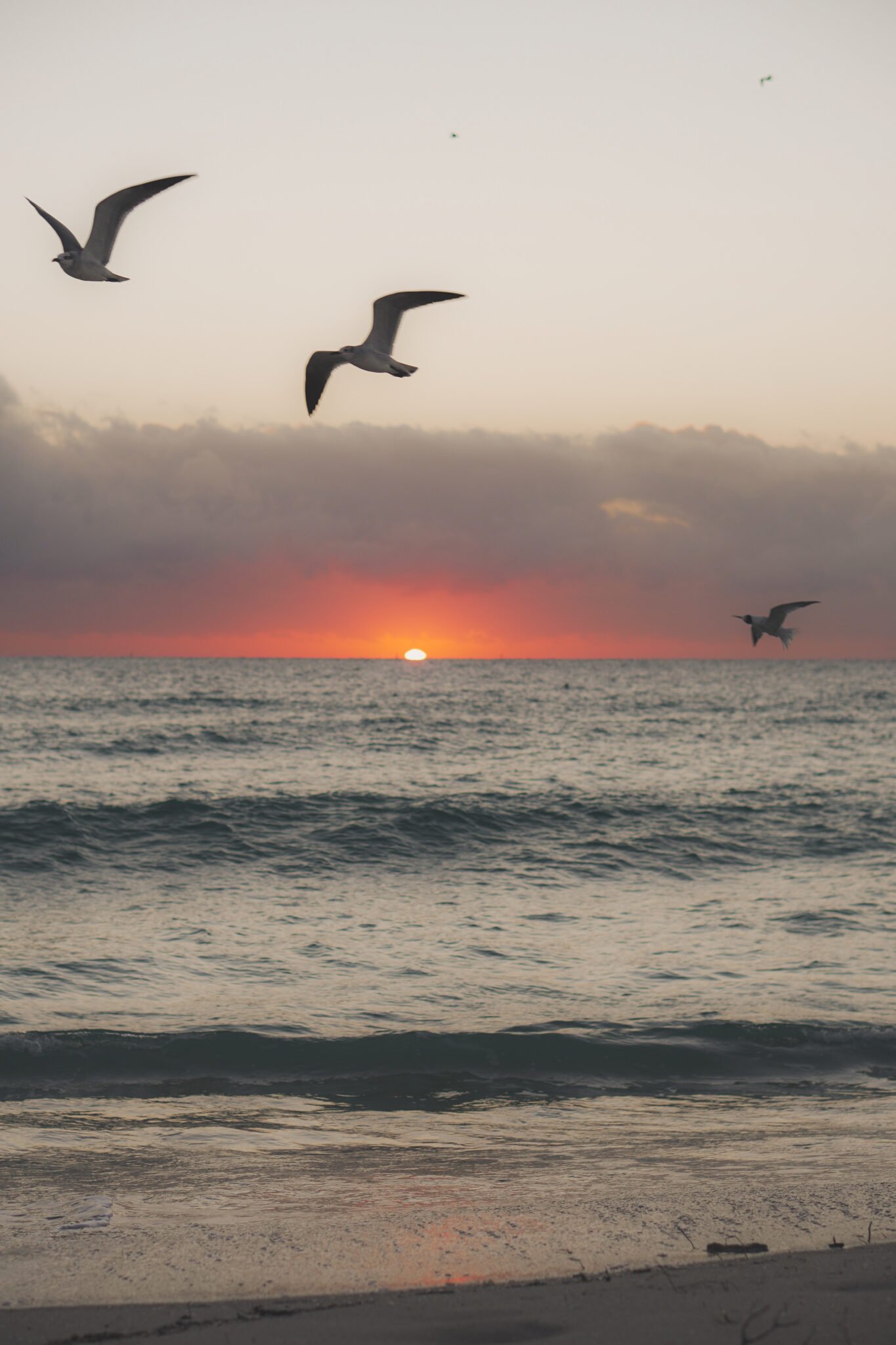 Couché de soleil