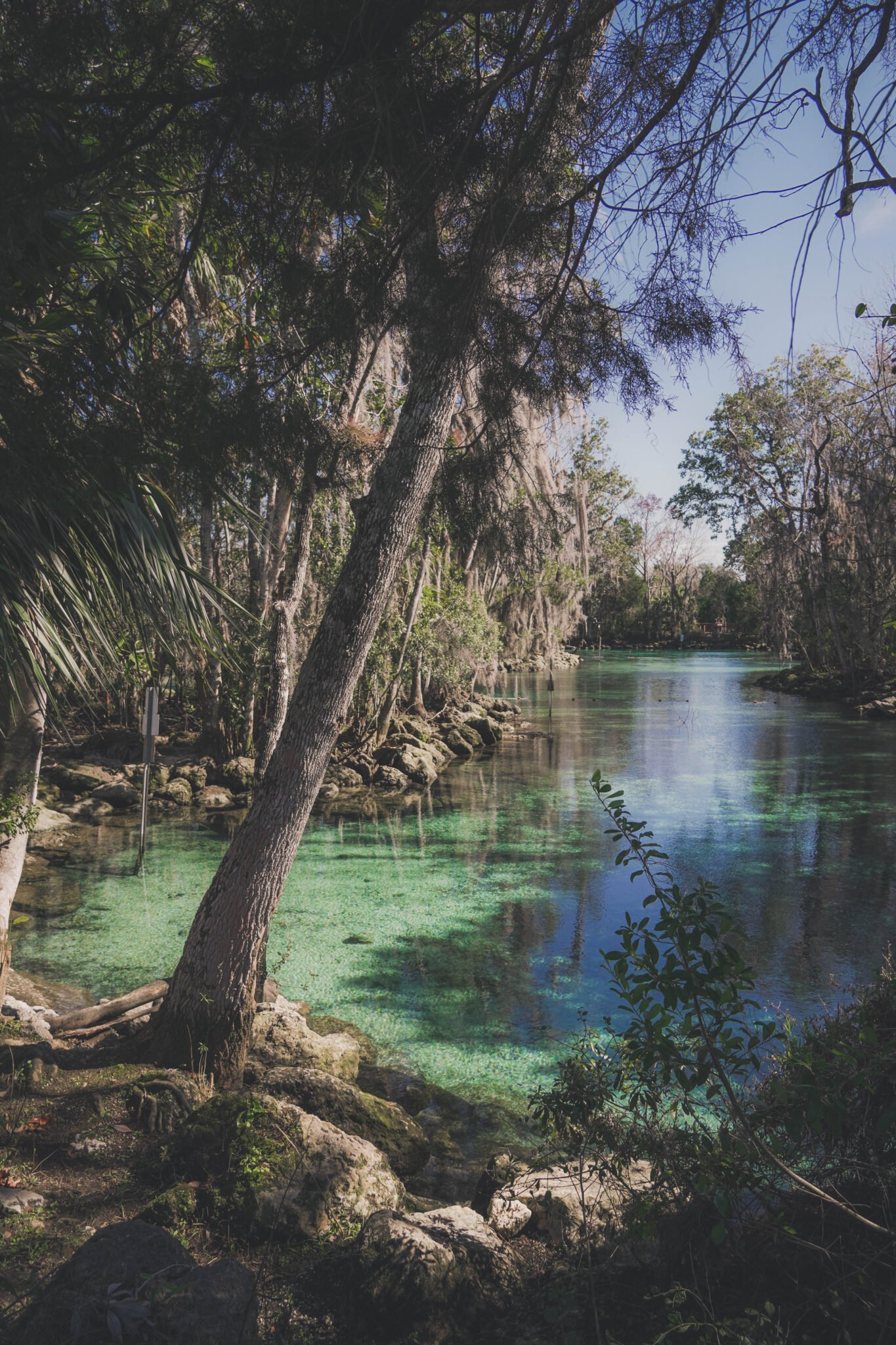 Voyage en Floride
