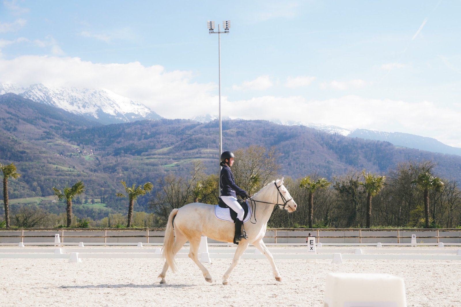 Concours Dressage