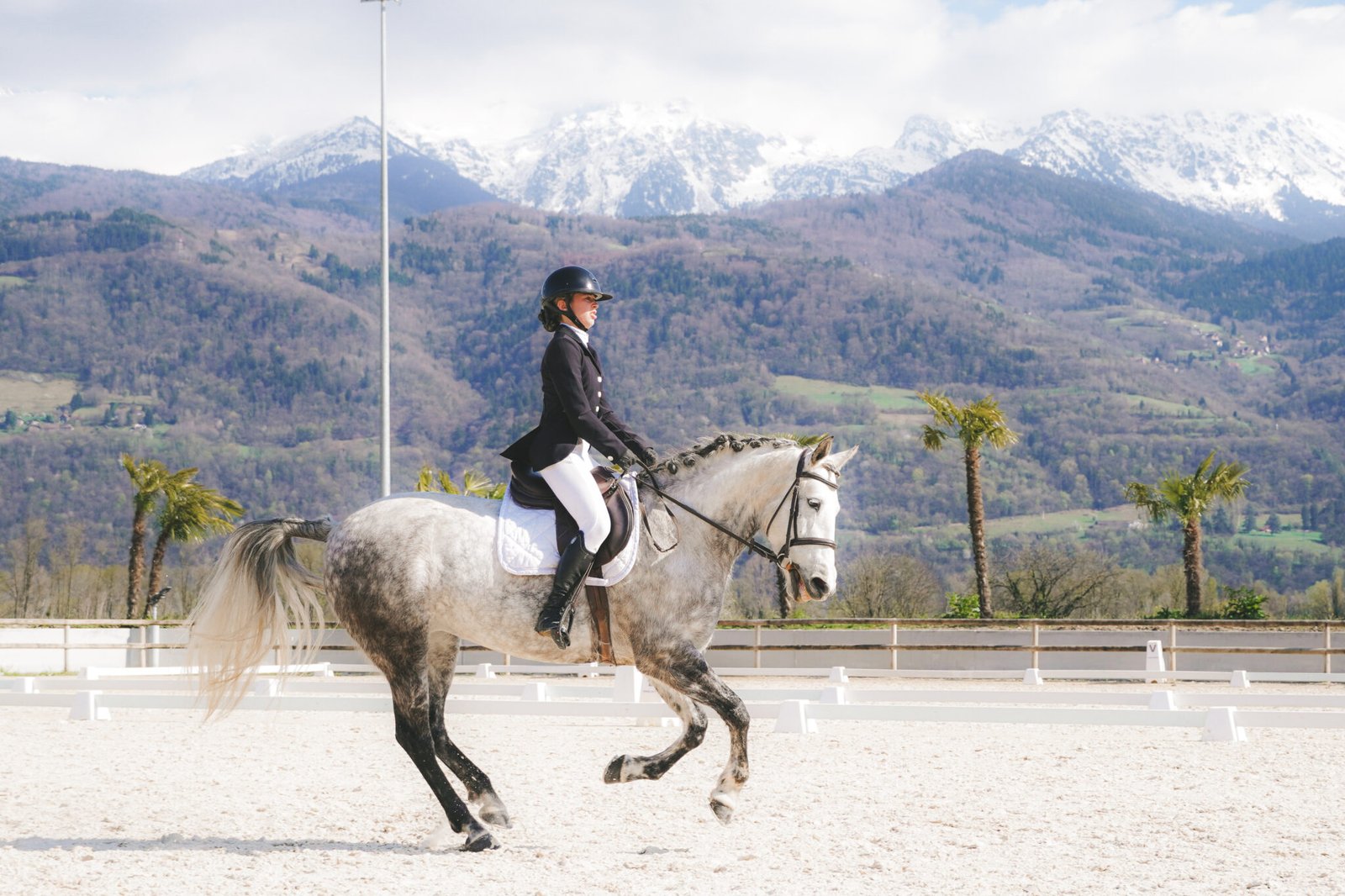 Concours Dressage