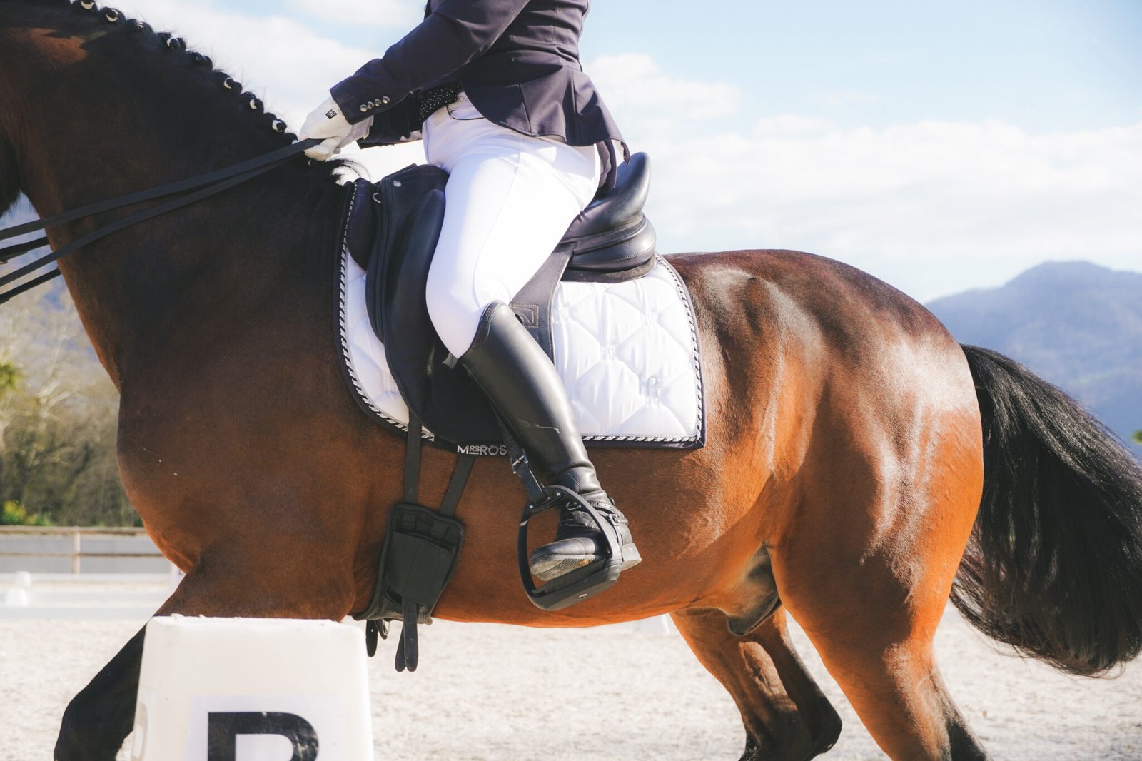 Concours Dressage