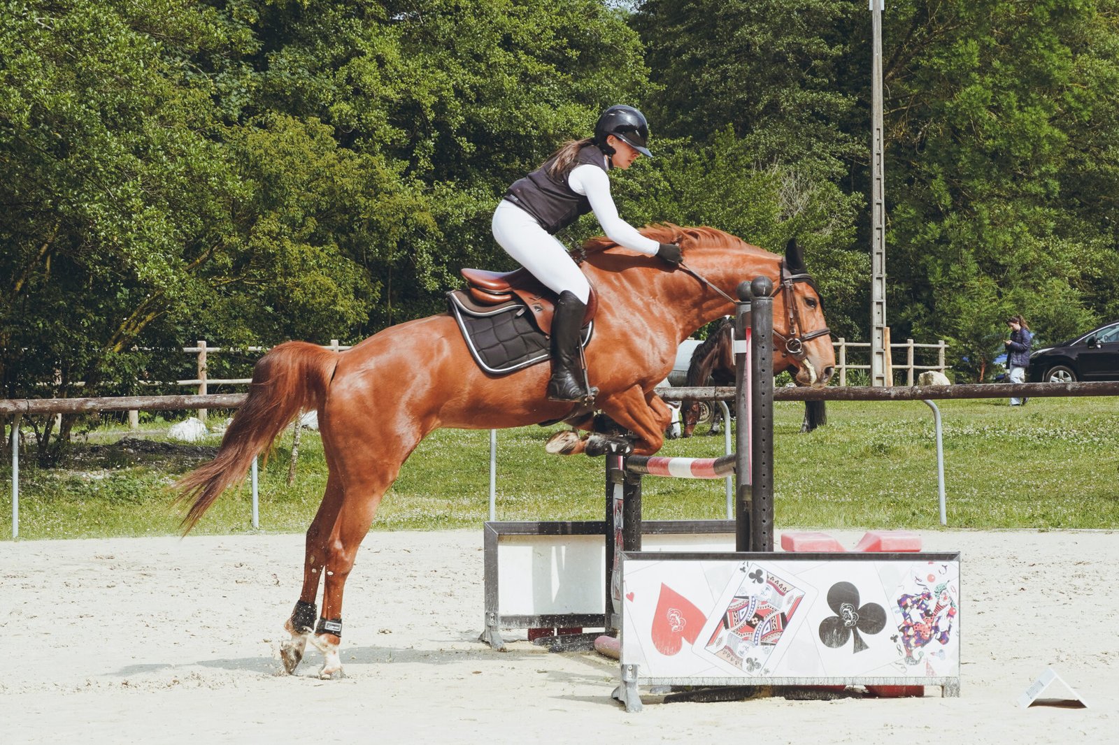 Photo concours hunter, écuries des centaures 8 juin 2025