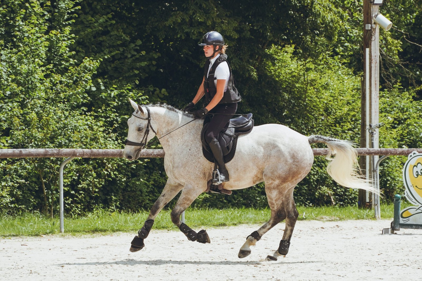 Photo concours hunter, écuries des centaures 8 juin 2025