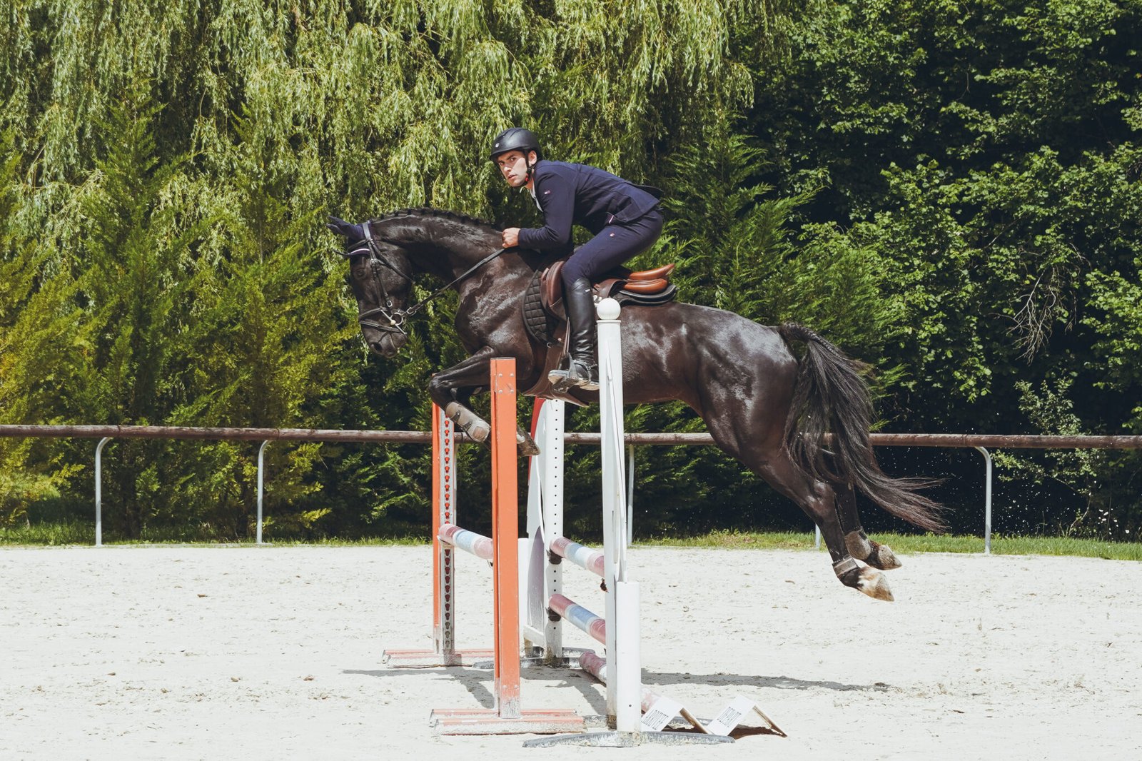 Photo concours hunter, écuries des centaures 8 juin 2025