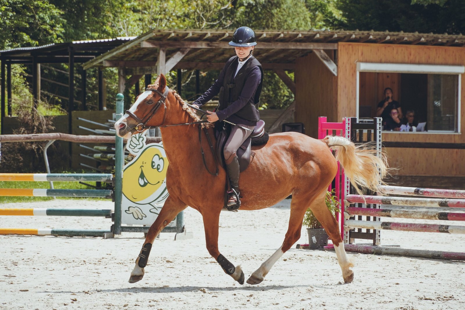 Photo concours hunter, écuries des centaures 8 juin 2025