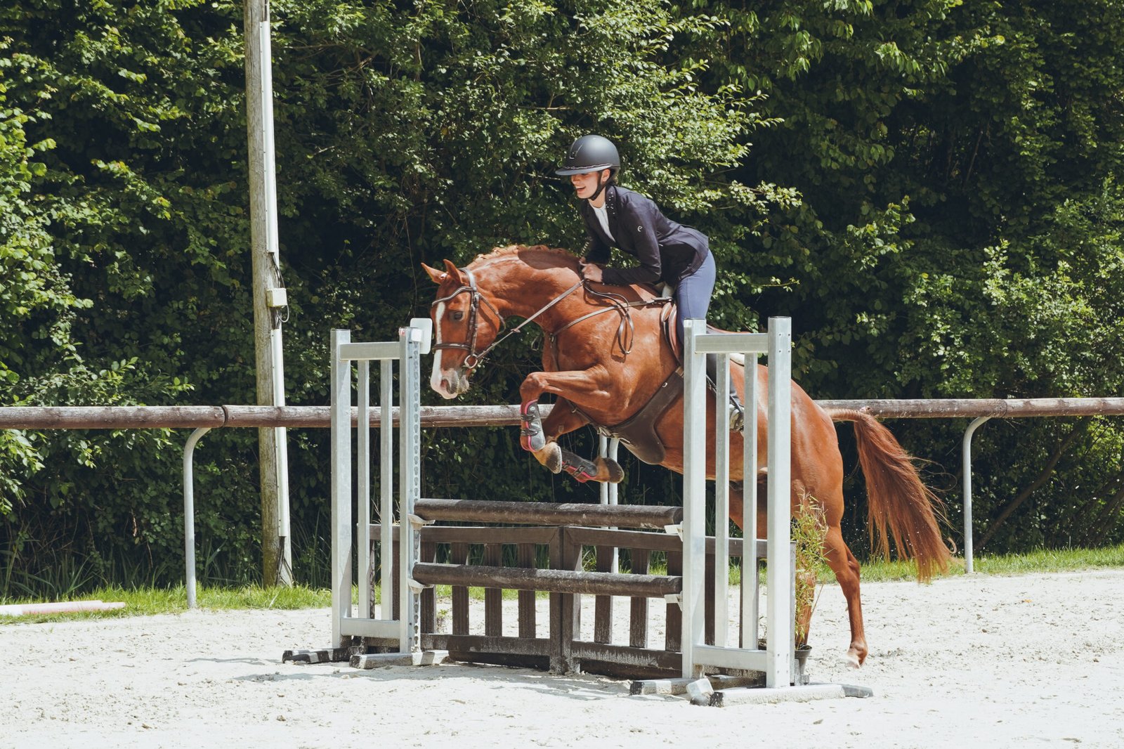 Photo concours hunter, écuries des centaures 8 juin 2025