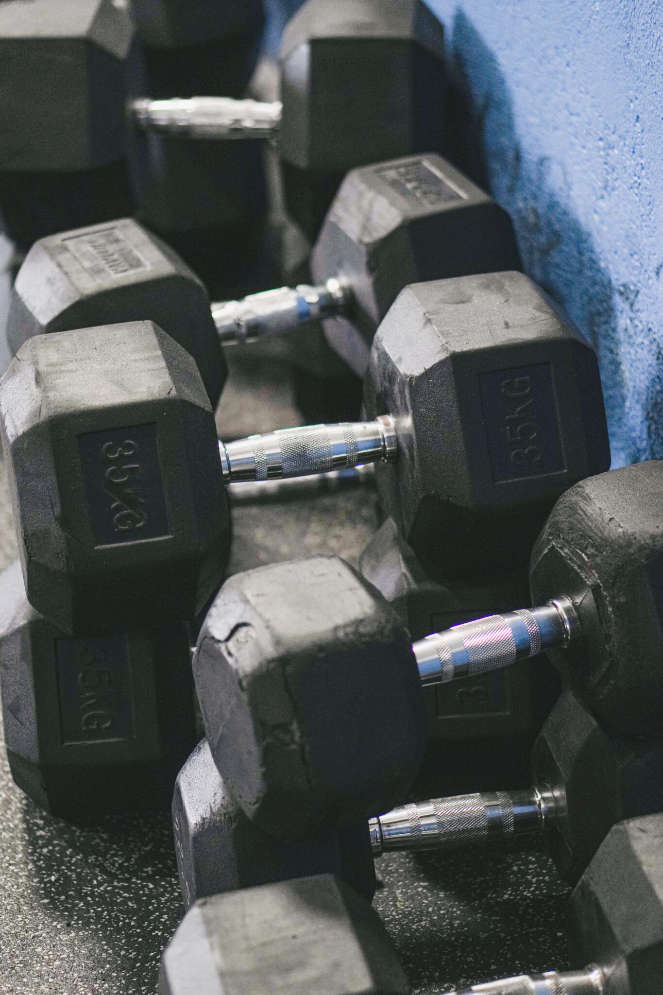 Léna photo sport Savoie - Musculation